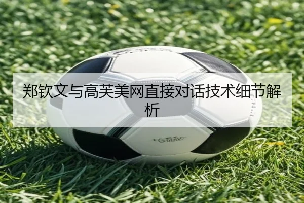 郑钦文与高芙美网直接对话技术细节解析